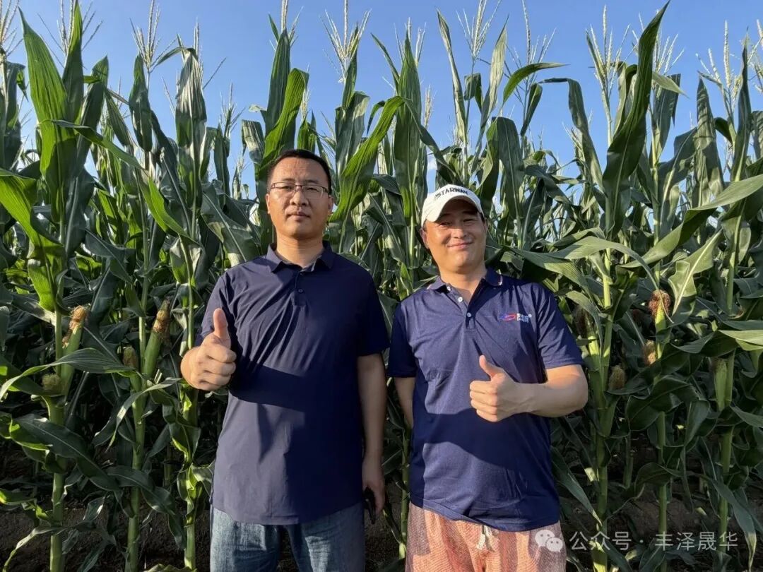 临沭推介会